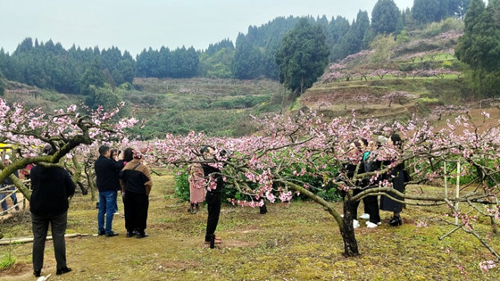 1742699309465.jpg 1742699309465.jpg