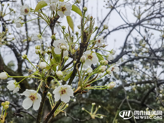 1742028190639.jpg 1742028190639.jpg