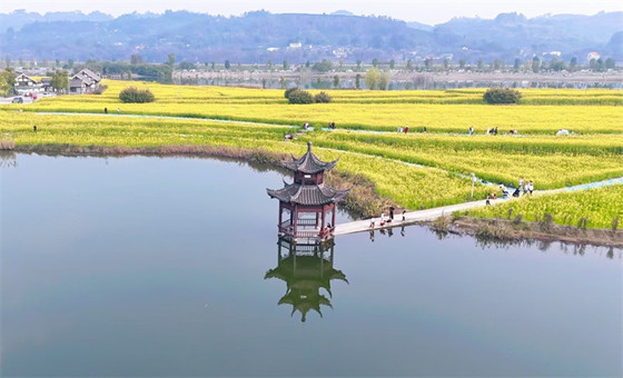 1741076382724.jpg 1741076382724.jpg