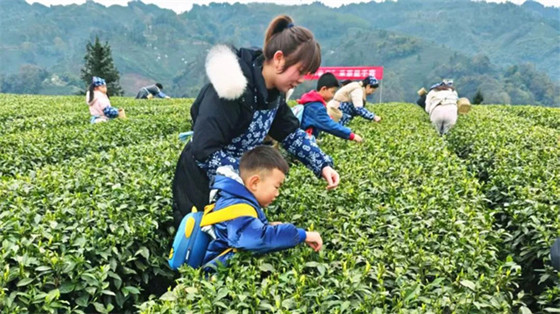 1742707467733.jpg 1742707467733.jpg