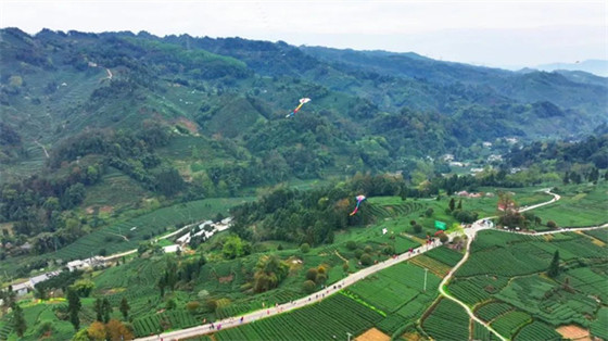 1742707448342.jpg 1742707448342.jpg