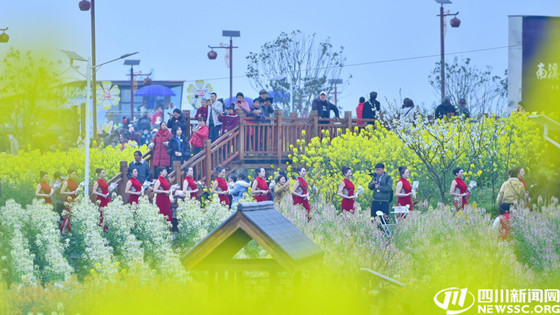 1741495179902.jpg 1741495179902.jpg