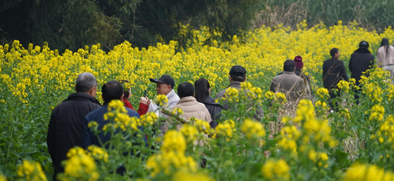 e22183a6f237c6e42ec29c466859bff.png e22183a6f237c6e42ec29c466859bff.png