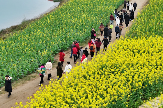 1741444745999.jpg 1741444745999.jpg