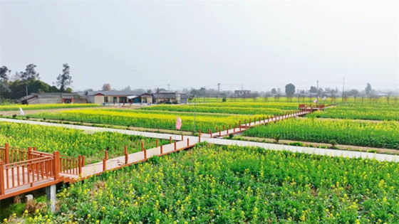 1741076367623.jpg 1741076367623.jpg