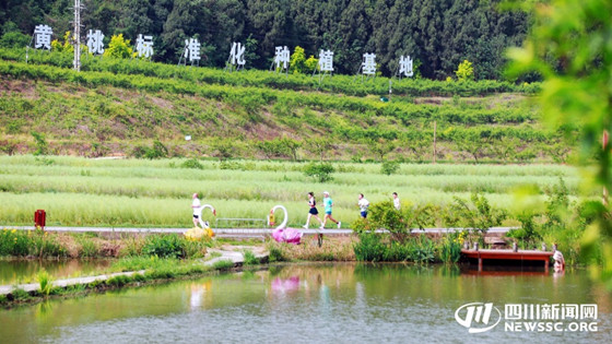 c26a07e5496f4a67b7b7820a146900aa.jpg c26a07e5496f4a67b7b7820a146900aa.jpg