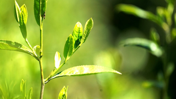 9de636f3f9fa49699827263b9f07fcb9.jpg 9de636f3f9fa49699827263b9f07fcb9.jpg