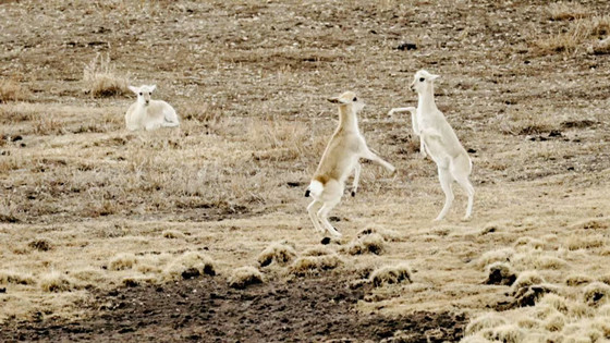 1743416790730_nAmEHHaz.jpg 1743416790730_nAmEHHaz.jpg