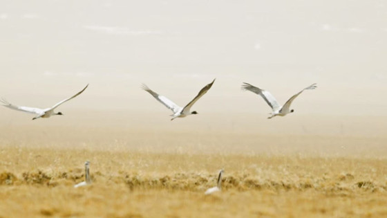 1743416754915_T2j3NQCr.jpg 1743416754915_T2j3NQCr.jpg