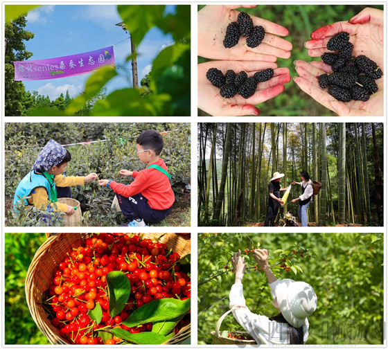 332306f4f7ea494e8cfbbbfaee04ea5b.jpg 332306f4f7ea494e8cfbbbfaee04ea5b.jpg