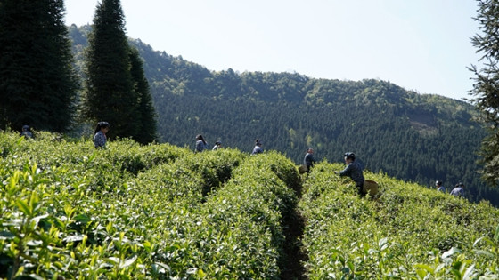 8c24419b0a214306bcb909d233405836.jpg 8c24419b0a214306bcb909d233405836.jpg