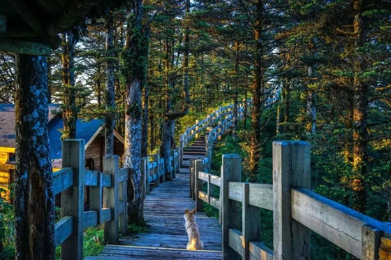 688920dc74135f500f3797c61abc235.jpg 688920dc74135f500f3797c61abc235.jpg