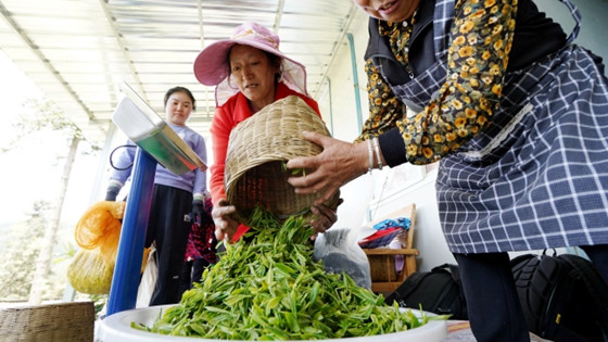 70fce5a0ddd7432e86b819ba2522fb6c.jpg 70fce5a0ddd7432e86b819ba2522fb6c.jpg