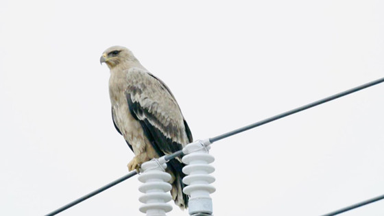 1743416894170_P3KKZp6R.jpg 1743416894170_P3KKZp6R.jpg