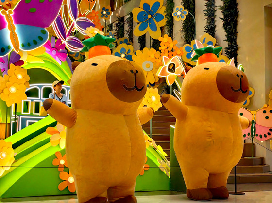 aa3cdaf4c0fa4dd38d9c392803e95cee.jpg aa3cdaf4c0fa4dd38d9c392803e95cee.jpg