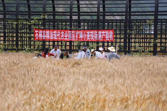 57ec502dccb546bcaaa36c44e3877062.jpg 57ec502dccb546bcaaa36c44e3877062.jpg