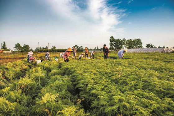 1748302897803.jpg 1748302897803.jpg