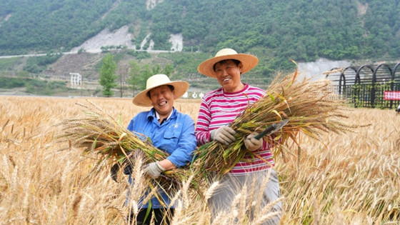 c341514aff3e4e89bbccfe58334b4f48.jpg c341514aff3e4e89bbccfe58334b4f48.jpg