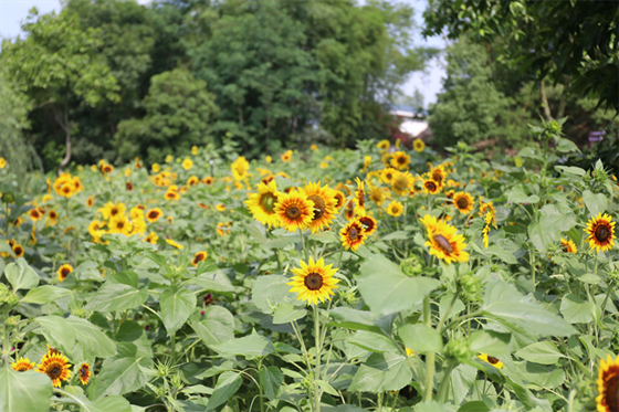 1748504321418.png 1748504321418.png