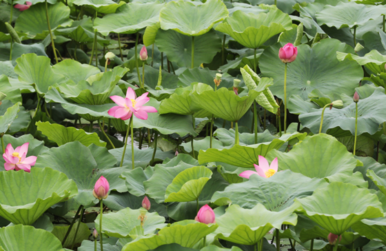 8e8c6b13eeb24bb2aeaa81f7c6a2f3b7.png 8e8c6b13eeb24bb2aeaa81f7c6a2f3b7.png