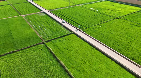 f82c1116ade11bdde4f717c1d2b51c7.png f82c1116ade11bdde4f717c1d2b51c7.png