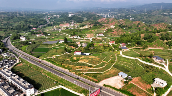 d6b764e4557c4ba19afee1f42aa75dc5.png d6b764e4557c4ba19afee1f42aa75dc5.png