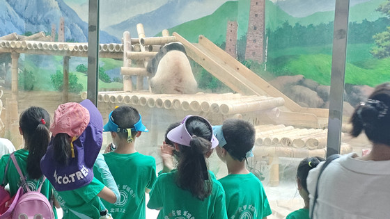 a3fe89455e874d2ca75c0de636b4f5ff.jpg a3fe89455e874d2ca75c0de636b4f5ff.jpg