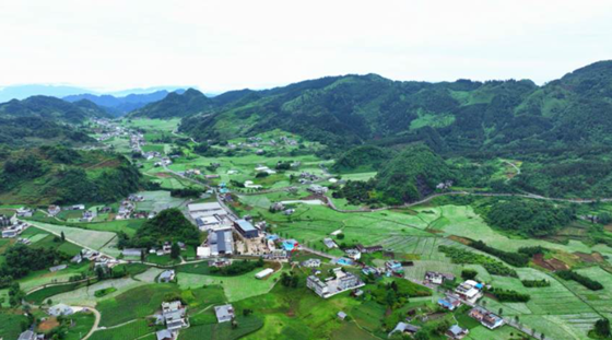 88267669d54401f1545a54ea9d37b69.png 88267669d54401f1545a54ea9d37b69.png