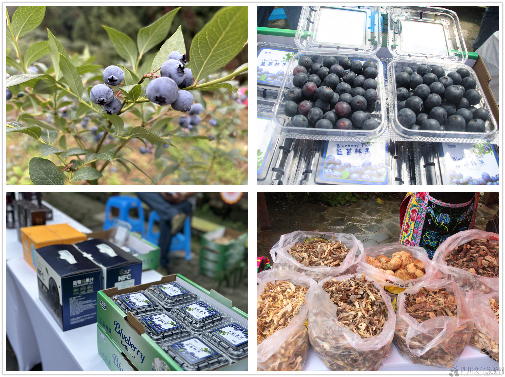 3b9cd598b90b49aea039cc9548ad2888.jpeg 3b9cd598b90b49aea039cc9548ad2888.jpeg