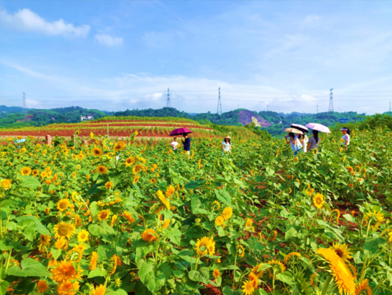 c6feeb40dacd4a7faf6358026e8a55b7.png c6feeb40dacd4a7faf6358026e8a55b7.png