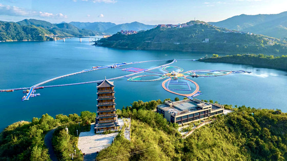 bbc44e51018d5f3ad0299345effa94.jpg bbc44e51018d5f3ad0299345effa94.jpg