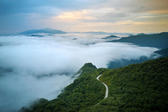 b72dc829518b47bbafaa550f4dd66f4a.jpg b72dc829518b47bbafaa550f4dd66f4a.jpg