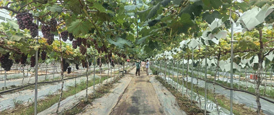 910a8ddbb23c4f1399b0b50bbd00389f.jpg 910a8ddbb23c4f1399b0b50bbd00389f.jpg