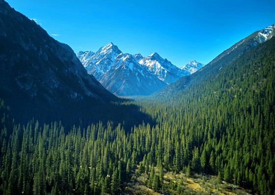 f62ad7df544444ccb96563aca9ffe19c.jpg f62ad7df544444ccb96563aca9ffe19c.jpg