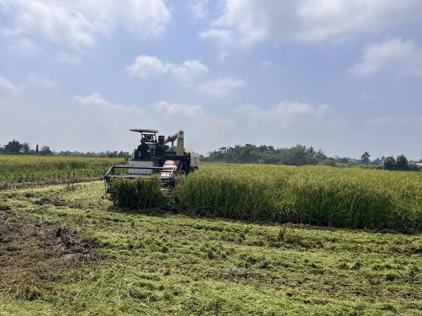 9c96e6639e124db7ae6c45b61e01a128.jpeg 9c96e6639e124db7ae6c45b61e01a128.jpeg