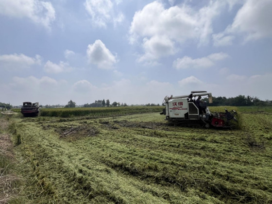 c02d2174cd2f46d39e2ecf5f2f8d3cd7.jpg c02d2174cd2f46d39e2ecf5f2f8d3cd7.jpg