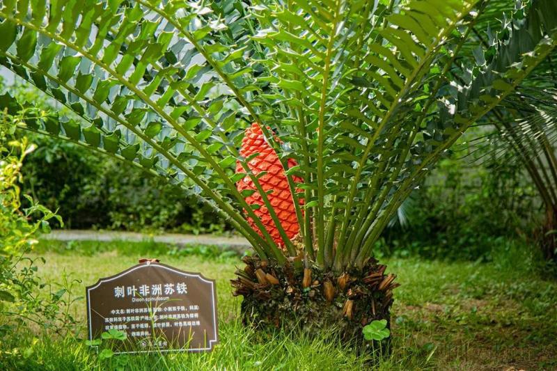 3ac0f70e5f4442169875f24cad107d62.jpg 3ac0f70e5f4442169875f24cad107d62.jpg