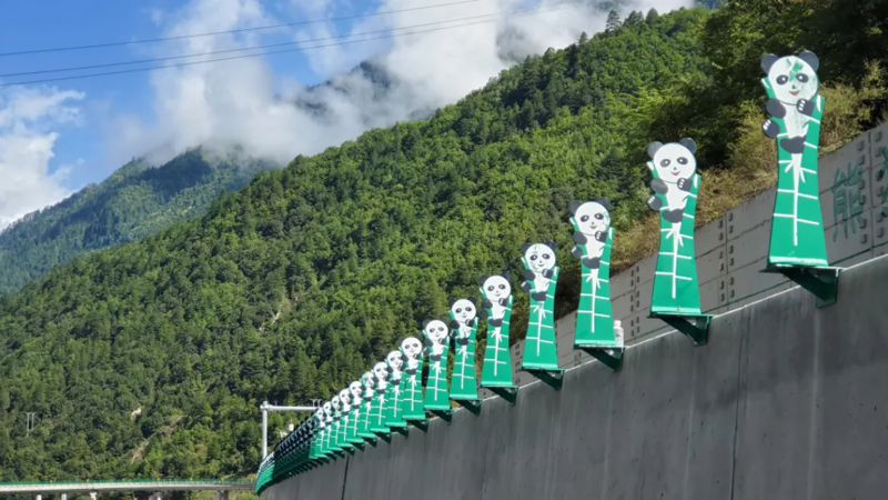 15234417bdc0b6d52a3c9e0a8f0c9c19.png 15234417bdc0b6d52a3c9e0a8f0c9c19.png