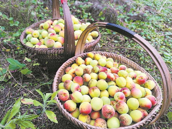 f83775a4-f8d8-41ea-95d6-9d10fa4e2a2b-1757549138581_transcode.jpg f83775a4-f8d8-41ea-95d6-9d10fa4e2a2b-1757549138581_transcode.jpg