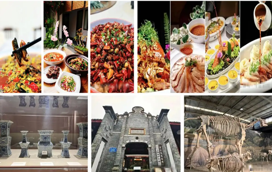 24914273c6bb9540c29554b65fed1233.png 24914273c6bb9540c29554b65fed1233.png