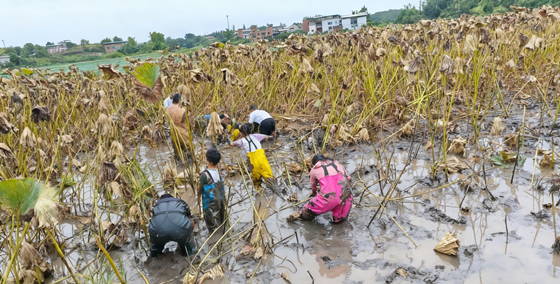 8dc4fe5412b646a0b65831ab4d7c3ff2.png 8dc4fe5412b646a0b65831ab4d7c3ff2.png