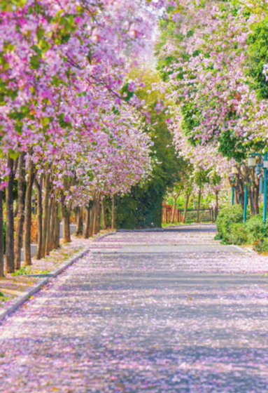 164fce3d37314774a8f6d7f97c2c1056.png 164fce3d37314774a8f6d7f97c2c1056.png