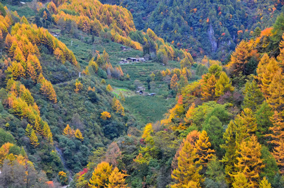 a4e1f44b2198cf0b3a3e0eeaf901ebcf.jpg a4e1f44b2198cf0b3a3e0eeaf901ebcf.jpg