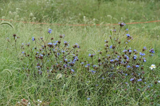 b9fae001b31c99b8efe72113acbc4f34-1762478904450.jpg b9fae001b31c99b8efe72113acbc4f34-1762478904450.jpg