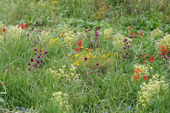 56507d5838f45a21a7f10061d4661584-1762478904503.jpg 56507d5838f45a21a7f10061d4661584-1762478904503.jpg