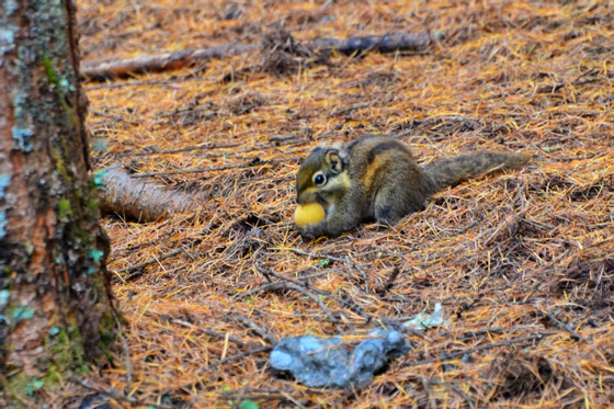 efb43e5907cf19c4dd20e260d0fb1919.jpg efb43e5907cf19c4dd20e260d0fb1919.jpg