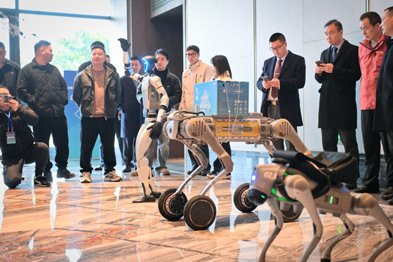 010f1667f636408ba46de2f3aeef103a1743495169049.jpg 010f1667f636408ba46de2f3aeef103a1743495169049.jpg